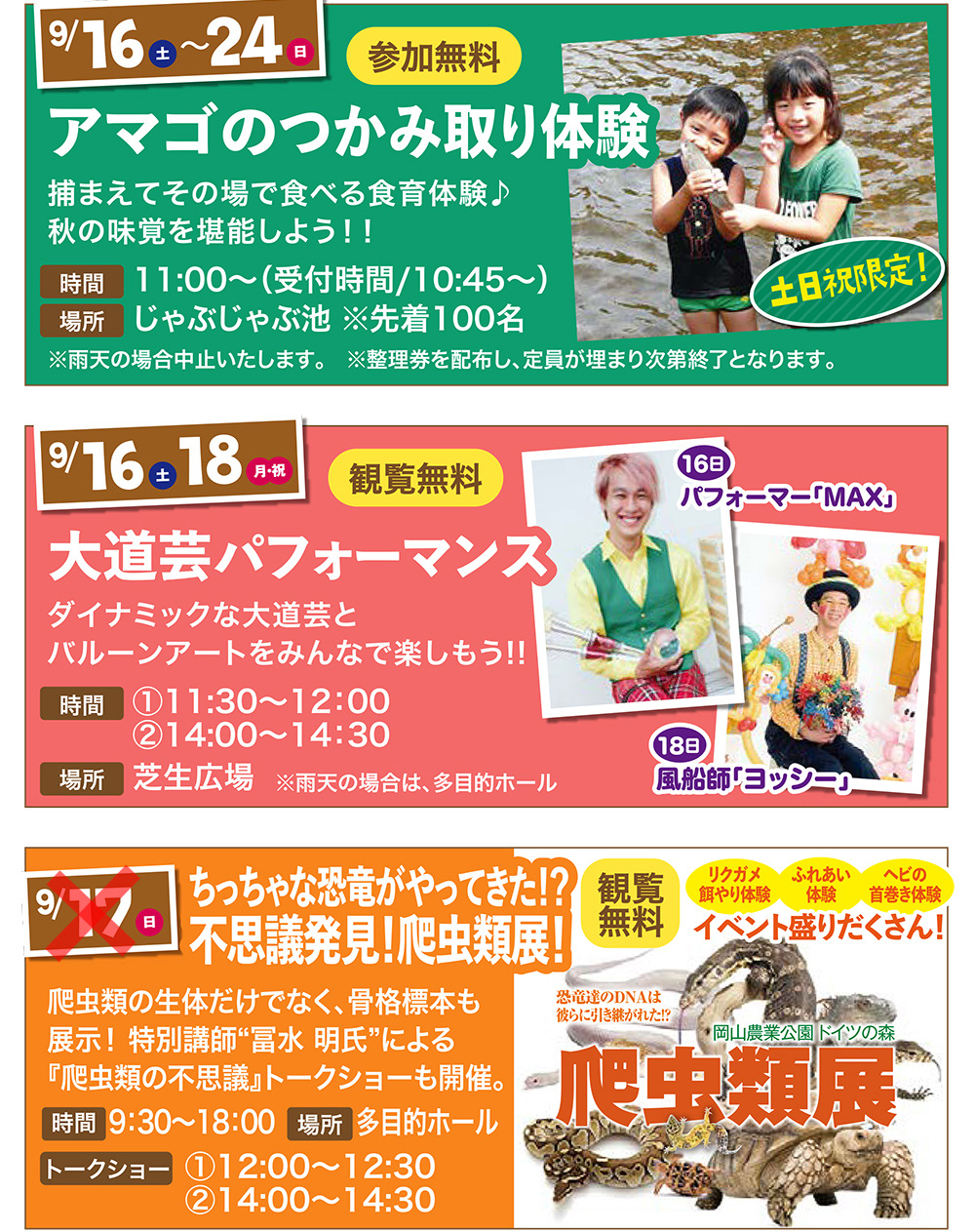 花いっぱい 楽しみいっぱい ドイツの森で秋を遊ぼう 花いっぱい 楽しみいっぱい ドイツの森で秋を遊ぼう