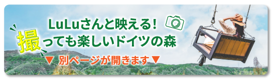 LuLUさんと映える!撮っても楽しいドイツの森