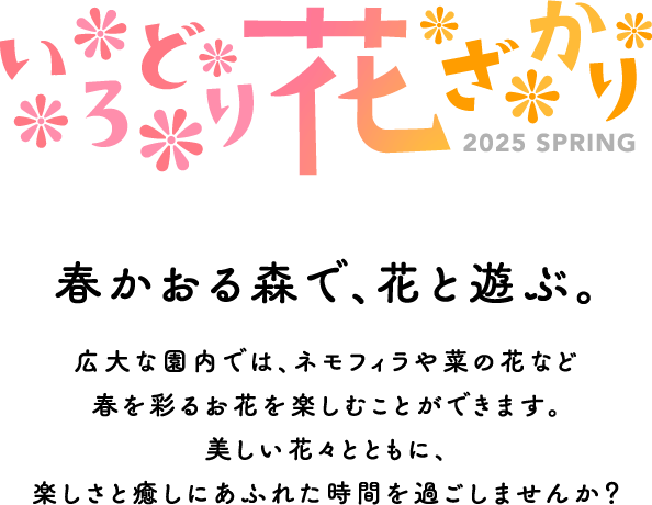 いろどり花ざかり