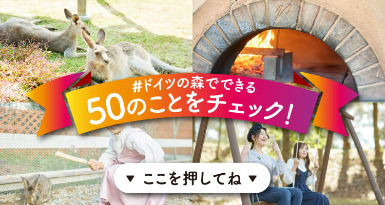 ドイツの森でできる50のことをチェック!